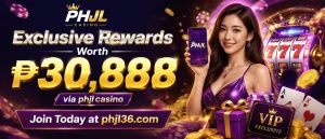 Promotion banner 2